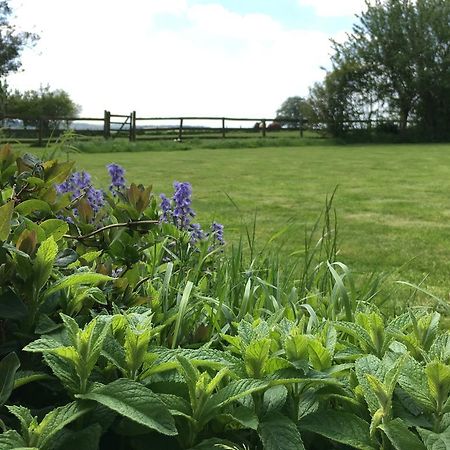 Bed and Breakfast Cotswolds Mine Hill House Lower Brailes Esterno foto