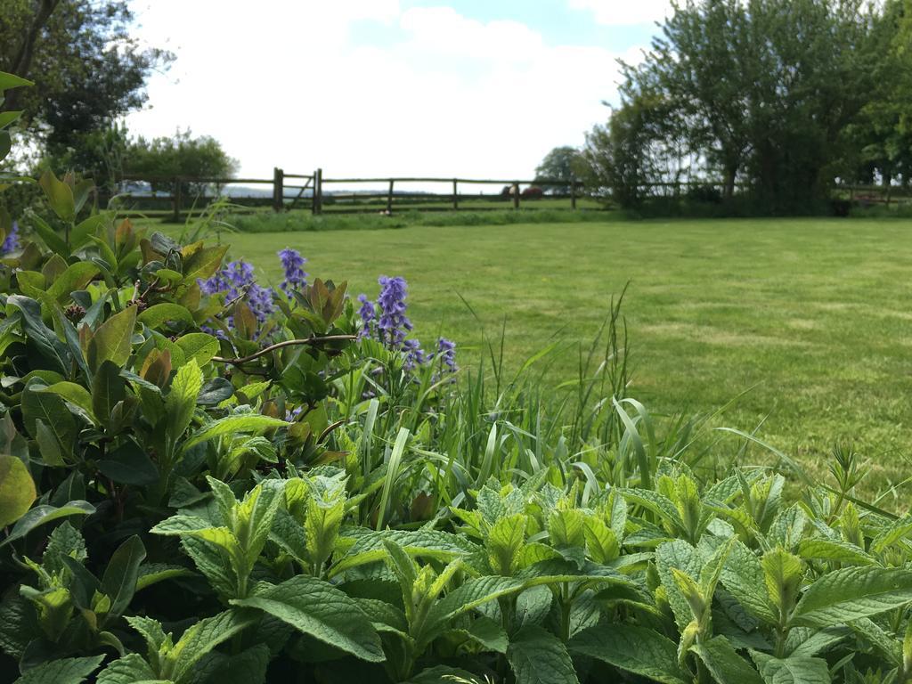 Bed and Breakfast Cotswolds Mine Hill House Lower Brailes Esterno foto